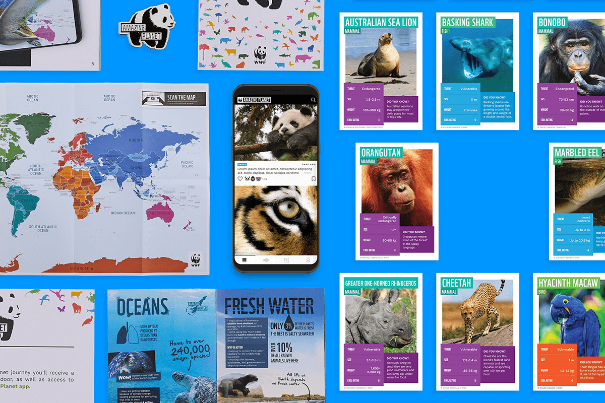 Built a digital subscription product with AR effects